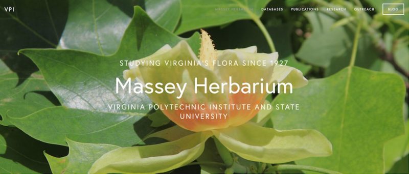 massey_herbarium