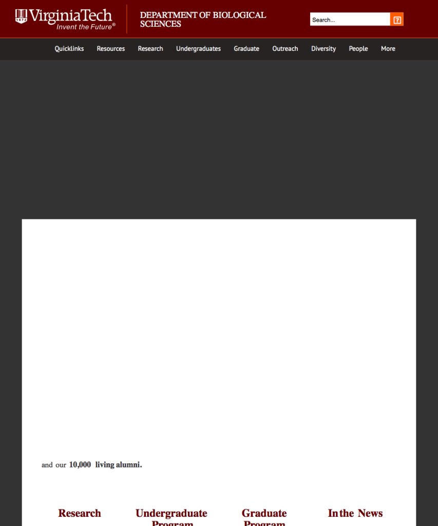 writing a 250 word essay long